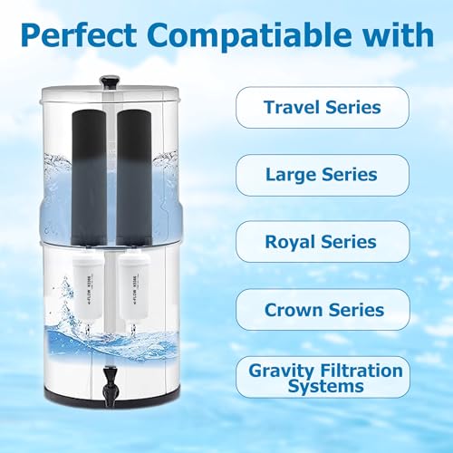 Fluoride Water Filter (2 Count)