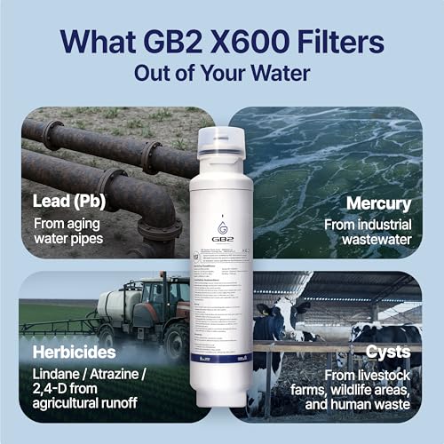 GB2 DW2053FR 10 Premium Refrigerator Water Filter (3 Count)