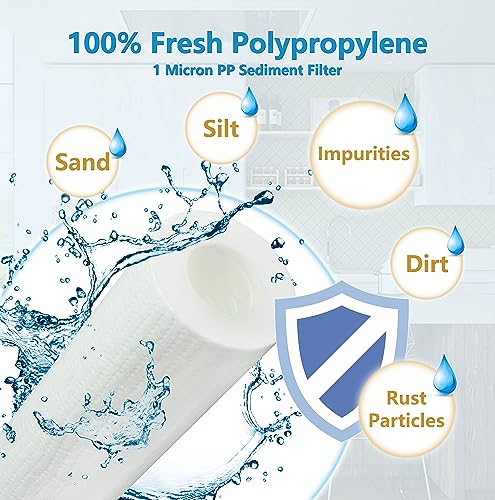 External RV Dual Replacement Water Filters