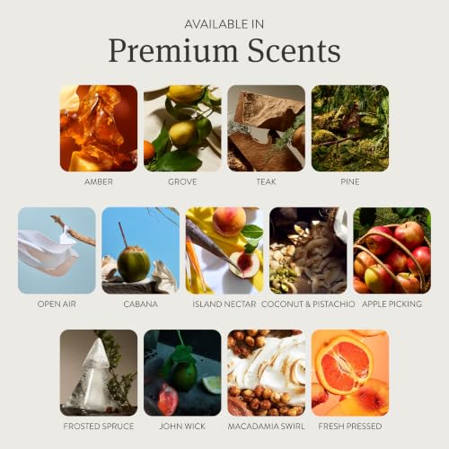 Car Air Freshener (3.4 Ounce)