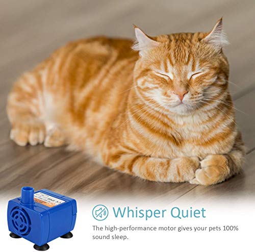 Pet Water Fountain Pump for iPettie & Hommii
