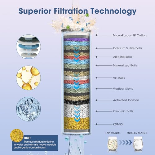 Filtered Shower Head with Handheld