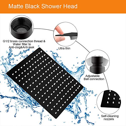 Shower Head with Extension Arm