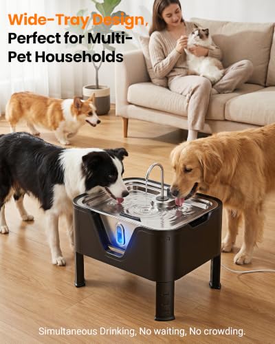 3.17Gal 12L Large Dog Water Fountain Elevated Dog Bowls with 3 Filters (405.82 Fl Oz)