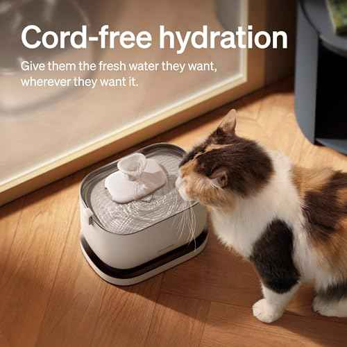 Cat Water Fountain