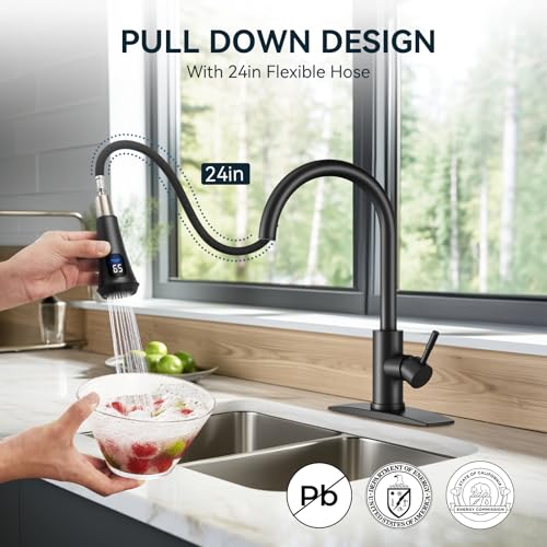 Kitchen Faucet with Temperature Digital Display