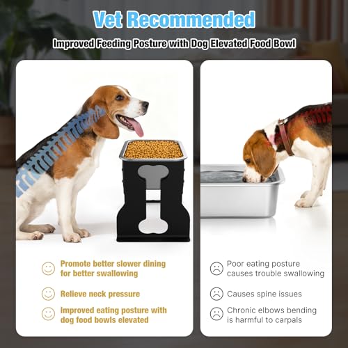 10" Elevated Dog Bowl