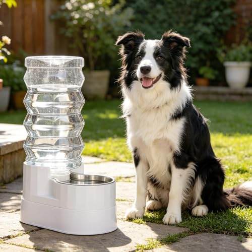 9L Elevated Dog Water Dispenser