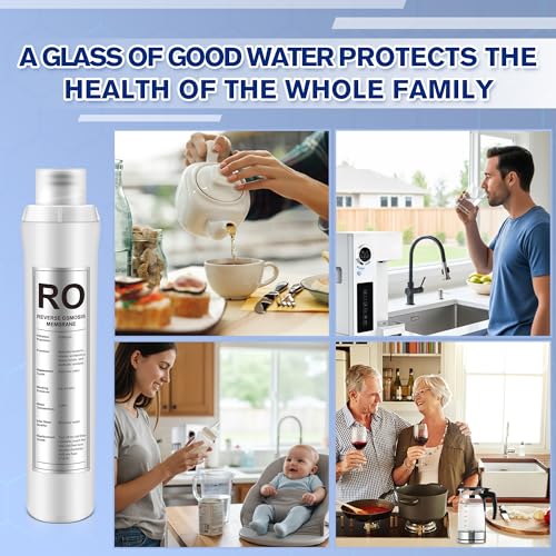 1 Pack RO Water Filter Replacement Compatible with Bluevua RO100ROPOT