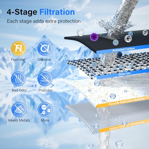 PF-3-FL Black 4-Stage Composite Carbon and Fluoride Reduction Filters, Compatible with Berlkey® Big+, ProOne® Big+ Gravity Water Filter Systems and Purewell Systems (2 Pack, K Series) (2 Count)