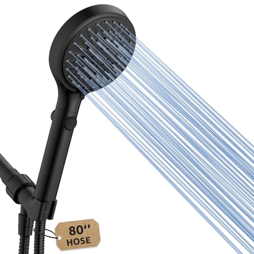 Shower Head with Handheld
