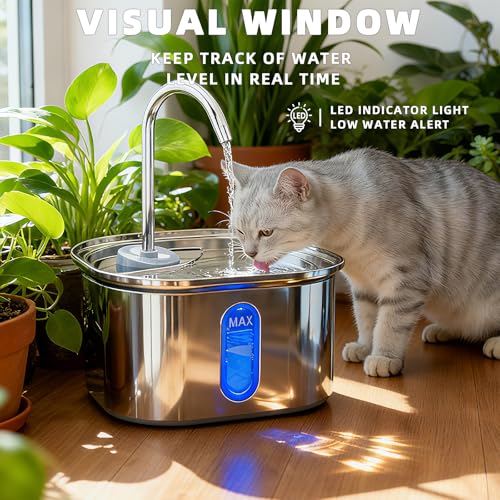 Cat Water Fountain (101 Fl Oz)