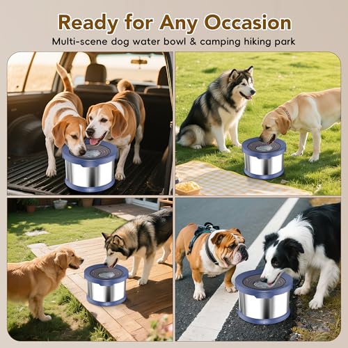 8L Dog Water Bowl No Spill Stainless Steel for Slow Drinking Blue