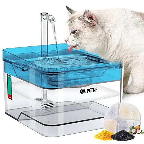 Blue Pet Water Fountain