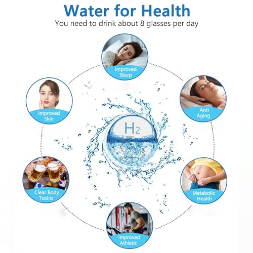 Hydrogen Water Bottle Generator 2pack (2 Count)