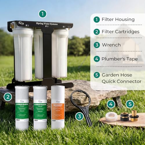 CW31 RV Water Filter System