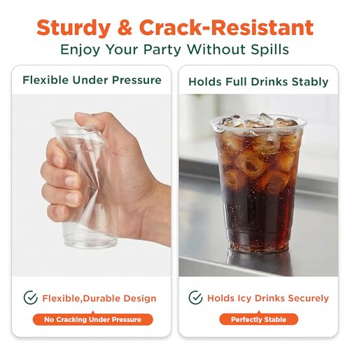 16 Oz Plant Based Disposable Party Cups (1000 Count)