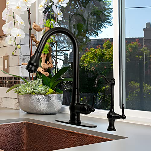 Kitchen Water Filter Faucet