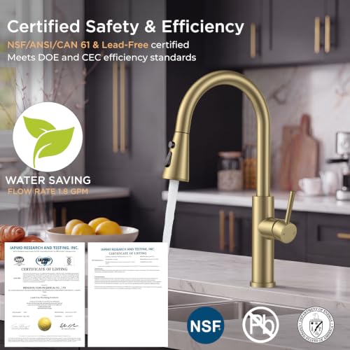 Kitchen Faucet with Pull Down Sprayer