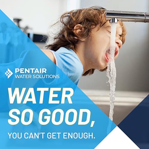 FreshPoint Easy Flow Under Sink Water Filtration System