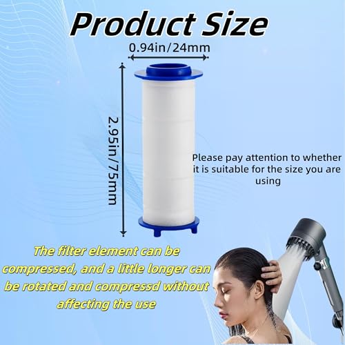 10Pcs Shower Head Filter Drivese (10 Count)