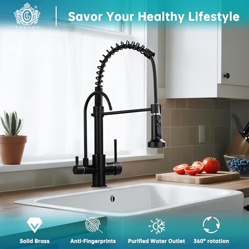 Commercial 3 in 1 Spring Black Kitchen Faucet