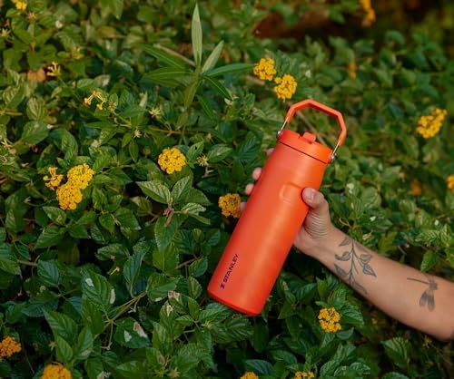IceFlow Flip Straw 2.0 Bottle