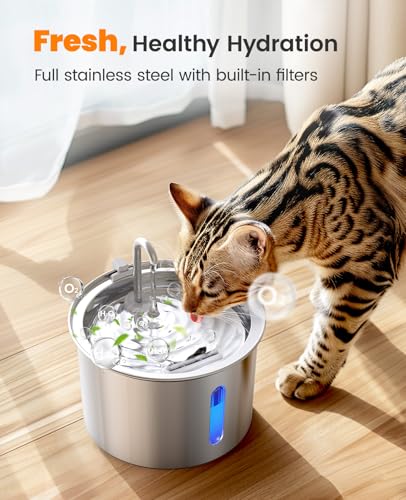 Stainless Steel Cat Water Fountain