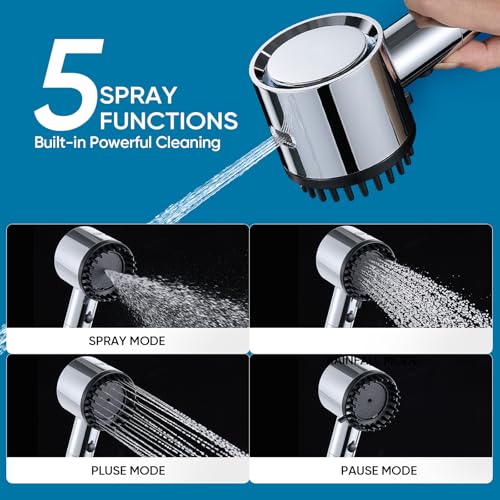 Filtered Shower Head with Handheld
