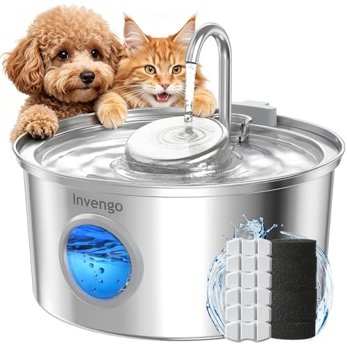 Cat Water Fountain Stainless Steel