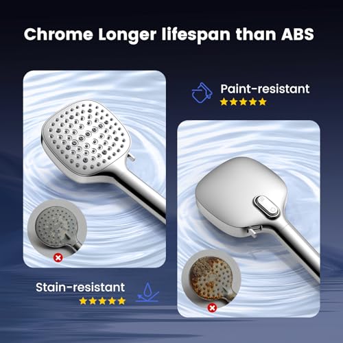 Filtered Shower Head with Handheld