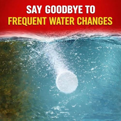 Rowing Machine Water Purification Tablets