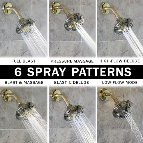 6 Function Luxury Shower Head