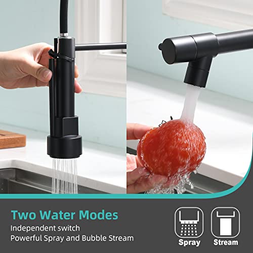Commercial Faucet with Sprayer