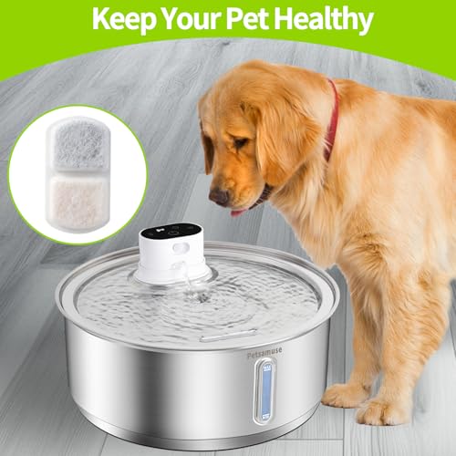 Smart Dog Water Fountain for Large Pets