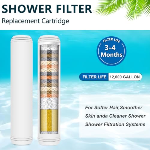 Water Filter Compatible with PWERAN and Fitespot Handheld Shower Head (2 Count)