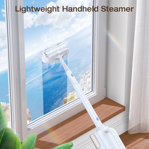 Steam Cleaner