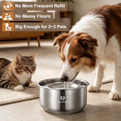 Dog Water Bowl No Spill (152 Fl Oz)