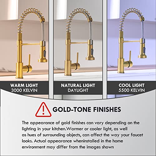 Kitchen Faucet with Pull Down Sprayer Brushed Gold