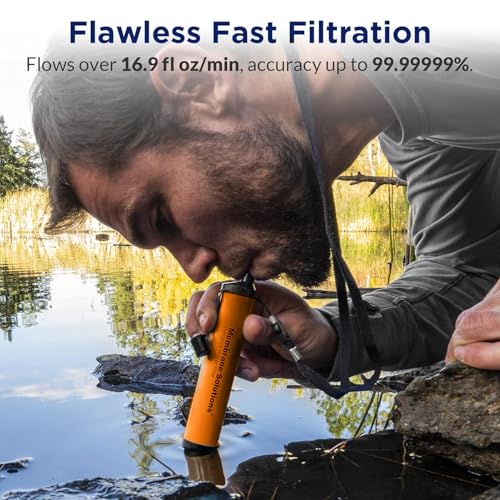 Personal Water Filter Straw S1