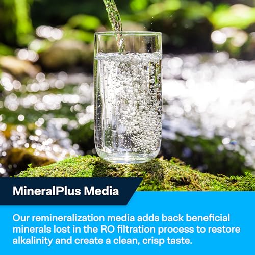 Reverse Osmosis System RO Water Filter