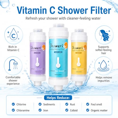 2 pack Generic Vitamin C Shower Head Filter (2 Count)