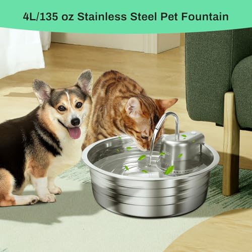 Cat Water Fountain