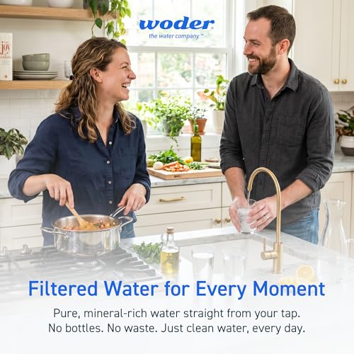 Under Sink Water Filter