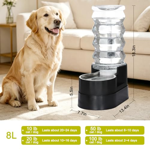 8L Elevated Dog Water Dispenser