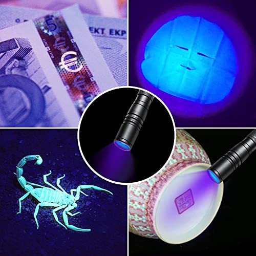 UV Flashlight 395nm Zoomable Black Light Lamp Ultraviolet Lights