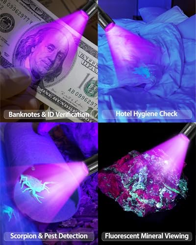 Black Light Flashlight