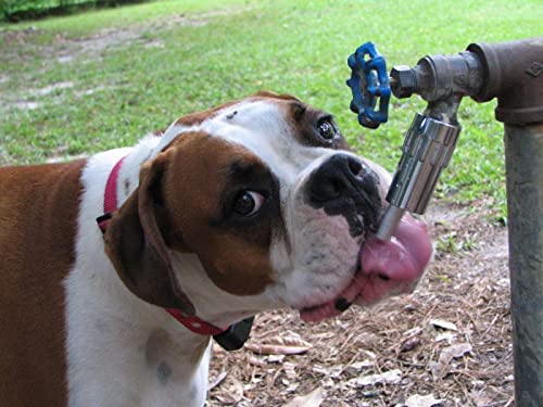 L100 Water Faucet Automatic Fountain for Dogs and Other Pets