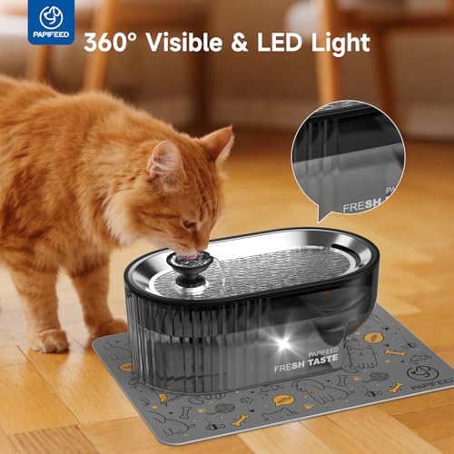 Automatic Cat Feeder and Water Fountain Stainless Steel