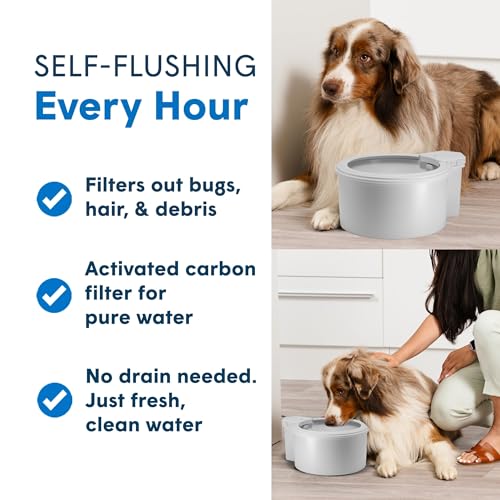 7" Self Refilling Cat Water Bowl & Bottle Pump Bundle